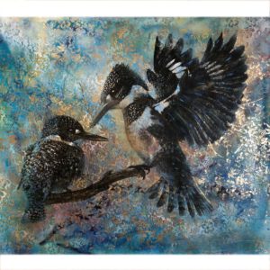 Eisvogel15